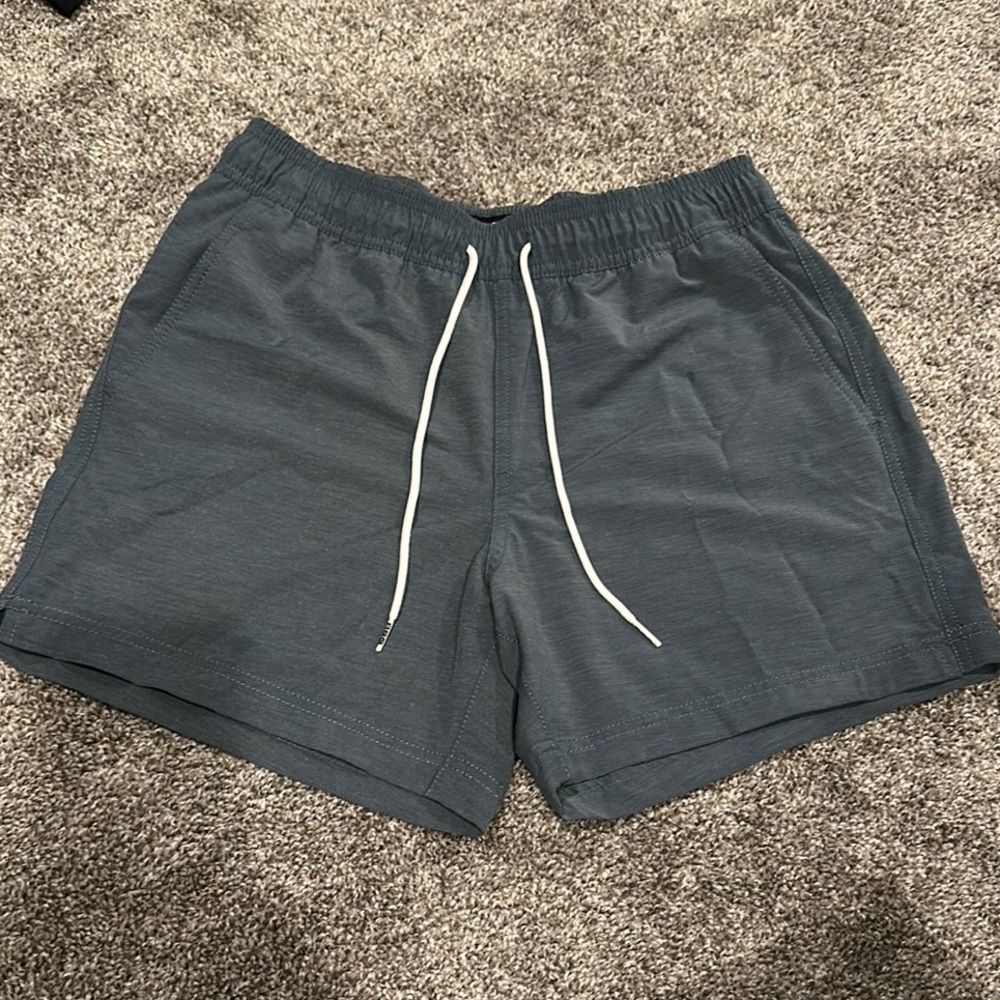 Men's Gray/Blue swim Shorts